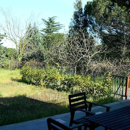 Etna Holiday Home Nicolosi Rum bild