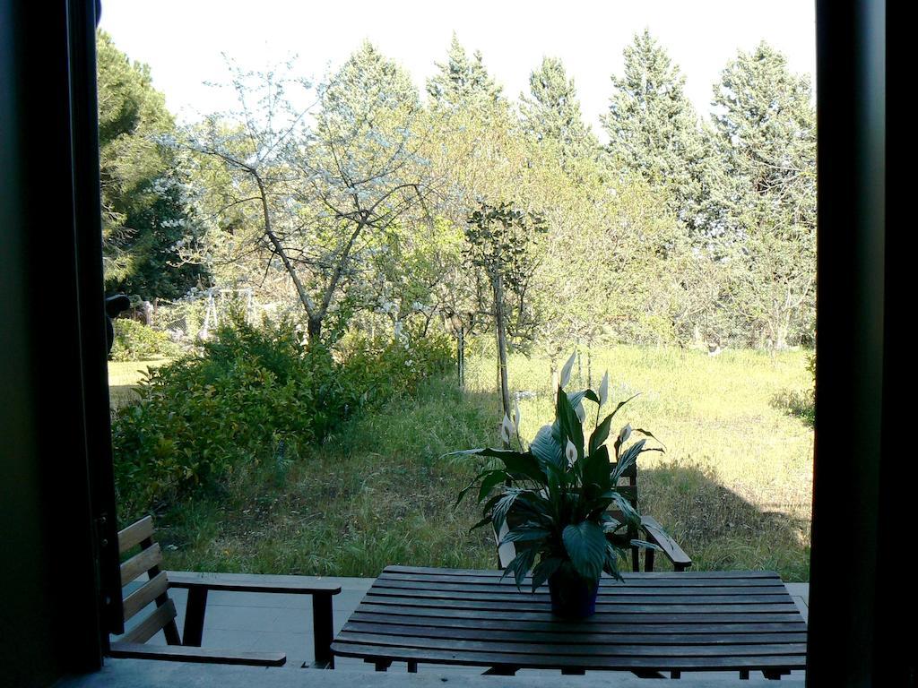 Etna Holiday Home Nicolosi Exteriör bild