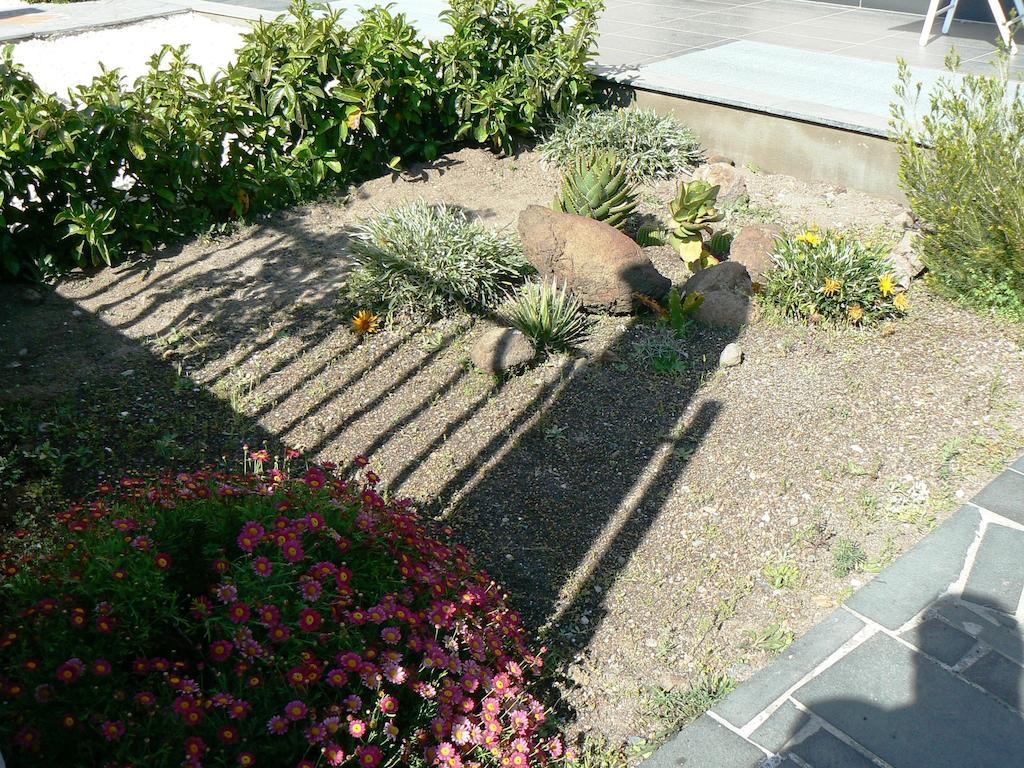 Etna Holiday Home Nicolosi Rum bild