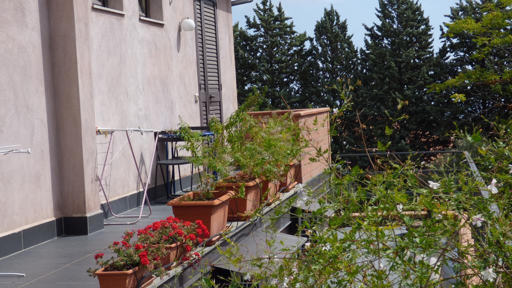 Etna Holiday Home Nicolosi Exteriör bild